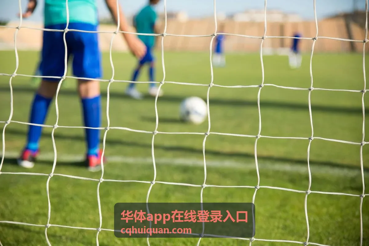 华体app在线登录入口网页端登录版本说明配图