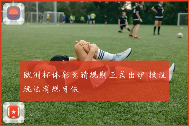 欧洲杯体彩竞猜规则正式出炉 投注玩法有规可依