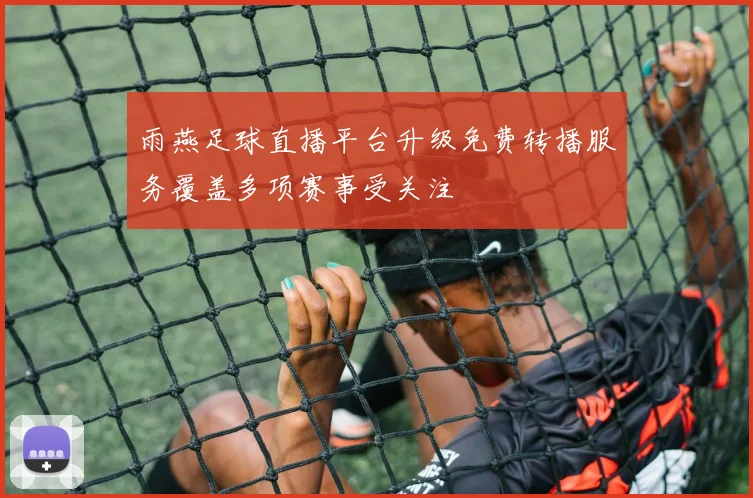 雨燕足球直播平台升级免费转播服务覆盖多项赛事受关注