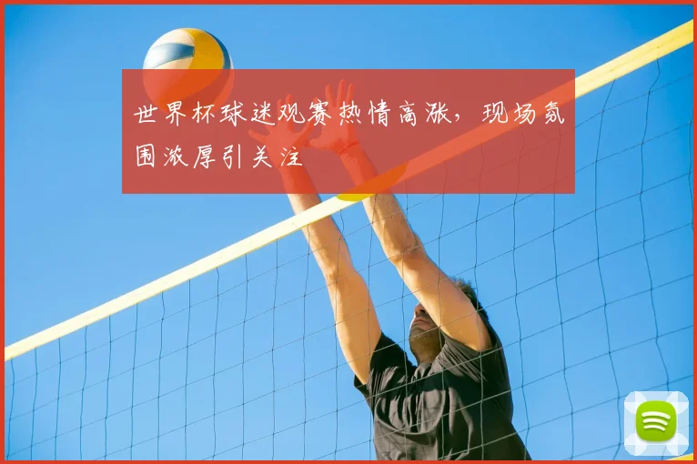 世界杯球迷观赛热情高涨,现场氛围浓厚引关注