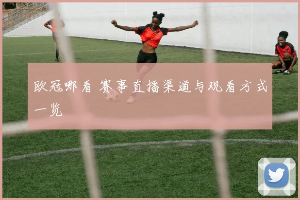 欧冠哪看 赛事直播渠道与观看方式一览