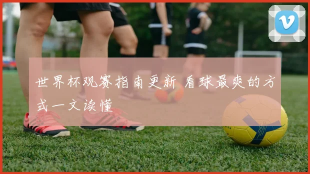 世界杯观赛指南更新 看球最爽的方式一文读懂