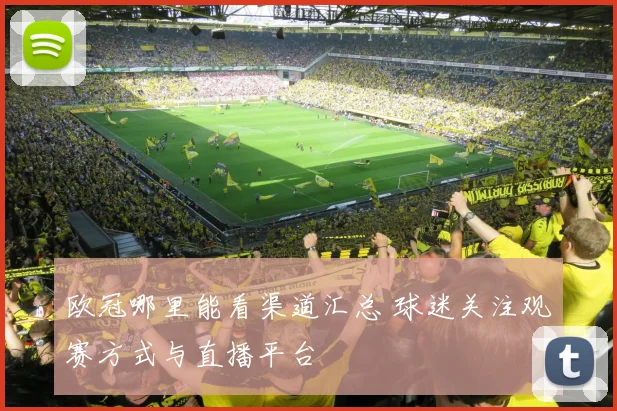 欧冠哪里能看渠道汇总 球迷关注观赛方式与直播平台