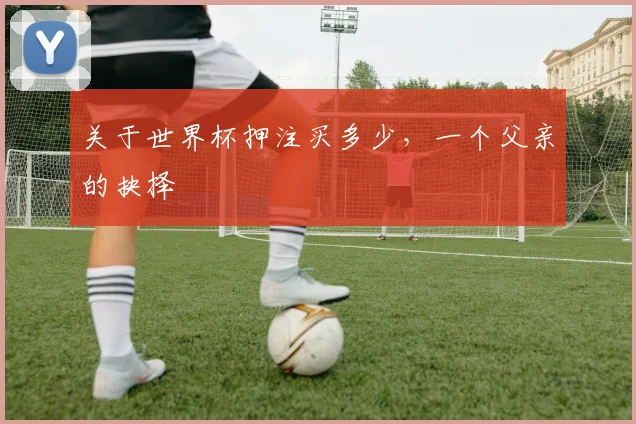 关于世界杯押注买多少，一个父亲的抉择