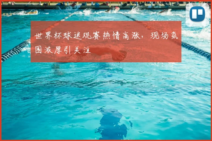 世界杯球迷观赛热情高涨，现场氛围浓厚引关注